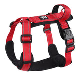 Hand Holding Rope Chest Strap