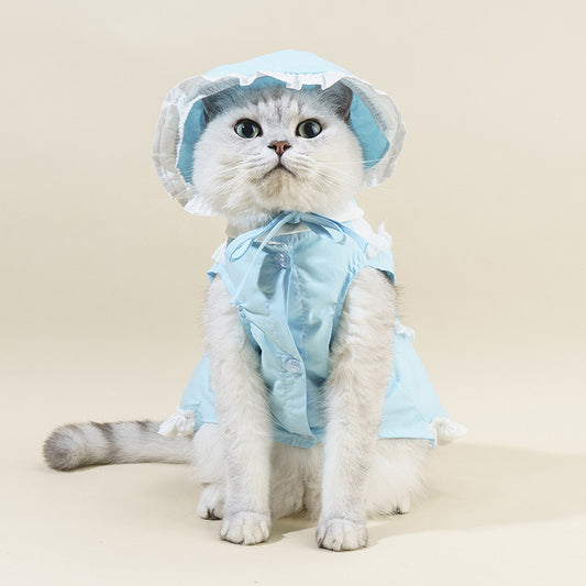 Cat Summer Suit in the Spotlight