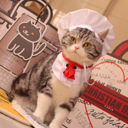 Chef Cat Hat & Scarf