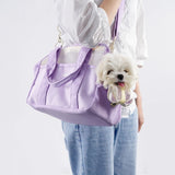 Summer Breathable Mesh Pet Takeaway Bag