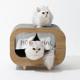 TV-Shaped Cat House Scratcher Included